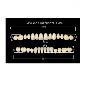Зуботехнические материалы: GLORIA NEW ACE зубы акриловые двухслойные, полный гарнитур Т2, М30 (28шт)
