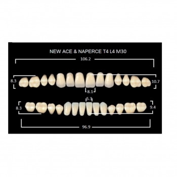 Зуботехнические материалы: GLORIA NEW ACE зубы акриловые двухслойные, полный гарнитур Т4, М30 (28шт)