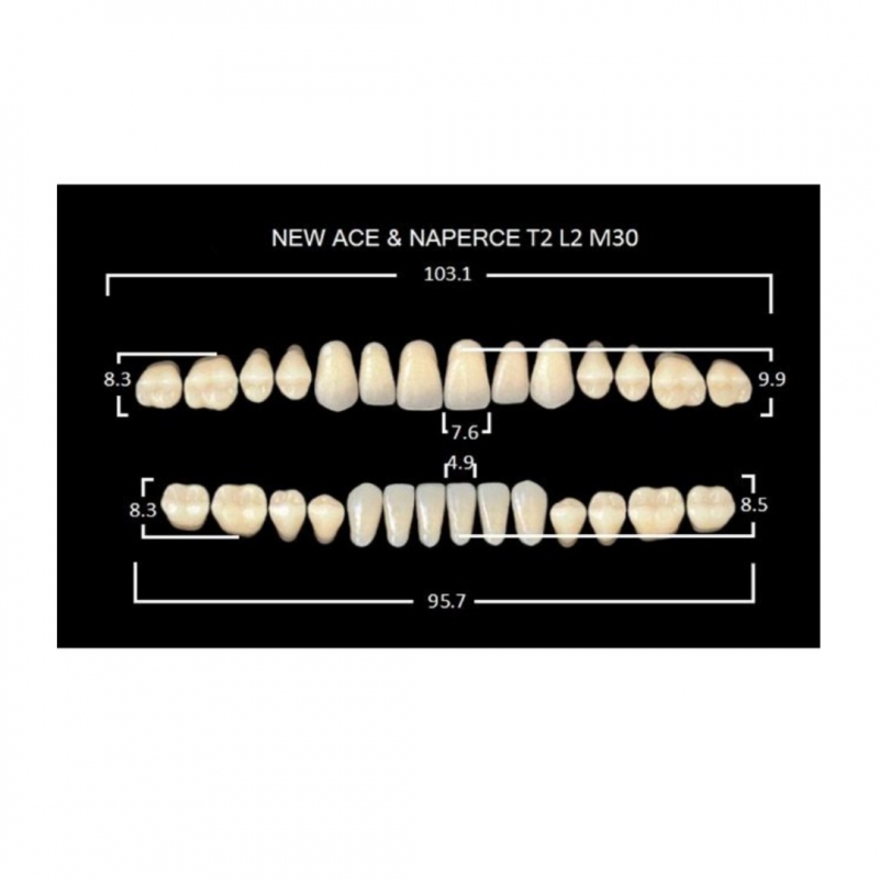 GLORIA NEW ACE зубы акриловые двухслойные, полный гарнитур Т2, М30 (28шт)