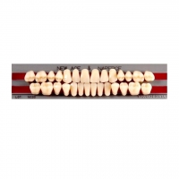 Изображение GLORIA NEW ACE зубы акриловые двухслойные, полный гарнитур Т3, М32 (28шт)