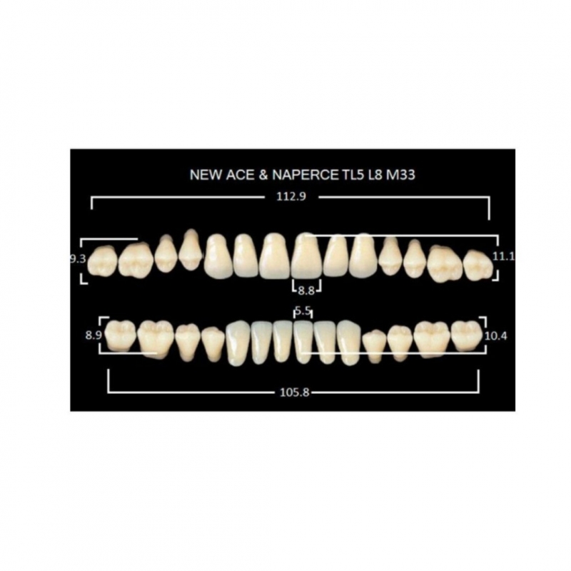 GLORIA NEW ACE зубы акриловые двухслойные, полный гарнитур ТL4, М32/34 (28шт)