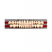 Изображение GLORIA NEW ACE зубы акриловые двухслойные, полный гарнитур S3, М30 (28шт)
