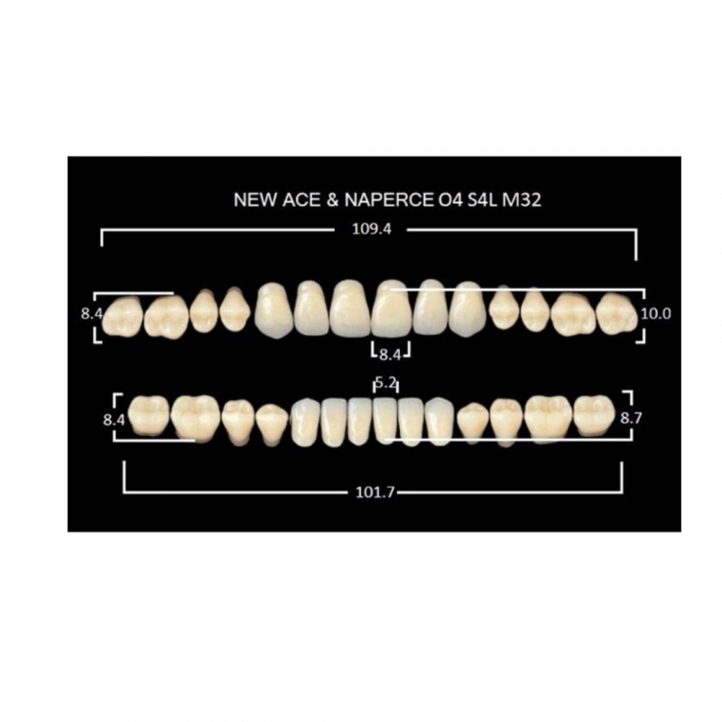 GLORIA NEW ACE зубы акриловые двухслойные, полный гарнитур 04, М32 (28шт)