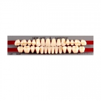 Изображение GLORIA NEW ACE зубы акриловые двухслойные, полный гарнитур 05, М32/34 (28шт)